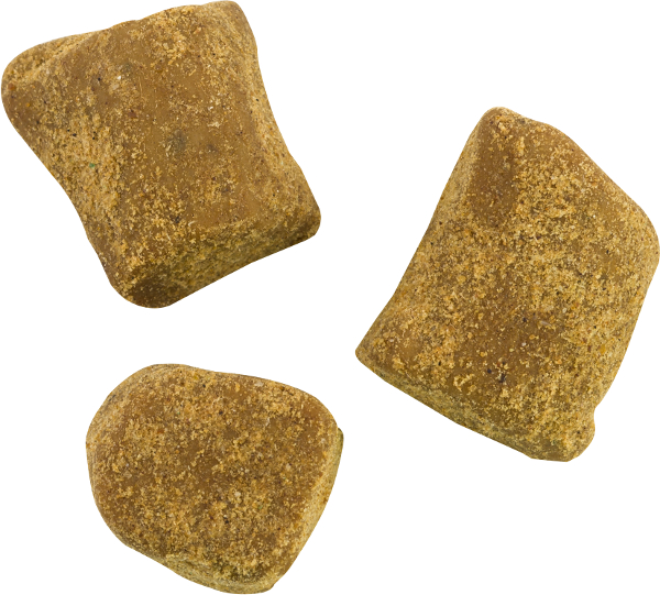 Berkley PowerBait Catfish Bait Chunks - NOW AVAILABLE